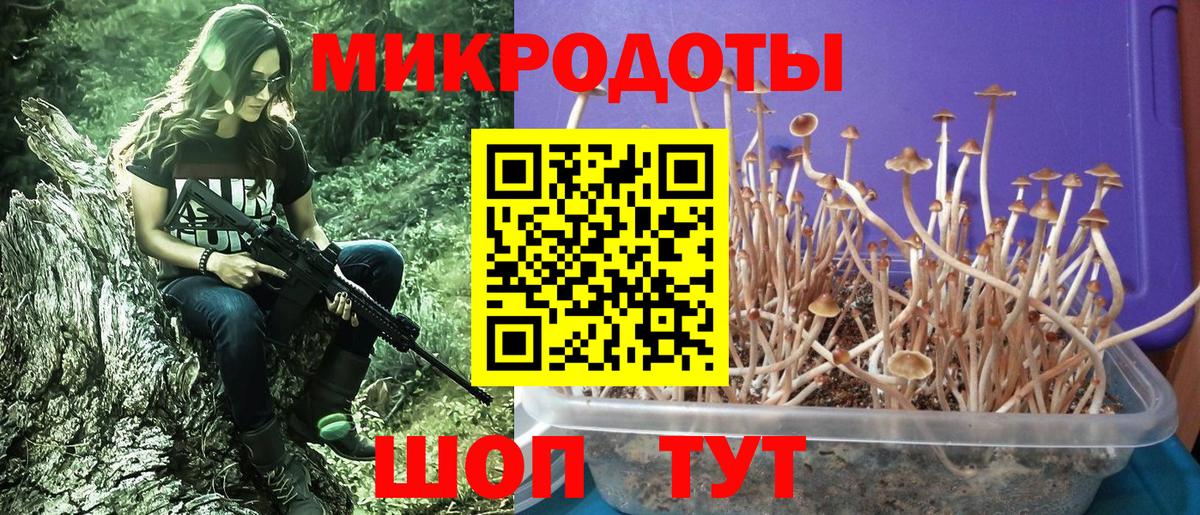 Новочеркасск  сколько стоит  Вход с VPN  Псилоцибиновые грибы мухоморы 